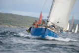 scintilla of the sea 920y whyw16 sun 800 0474w
